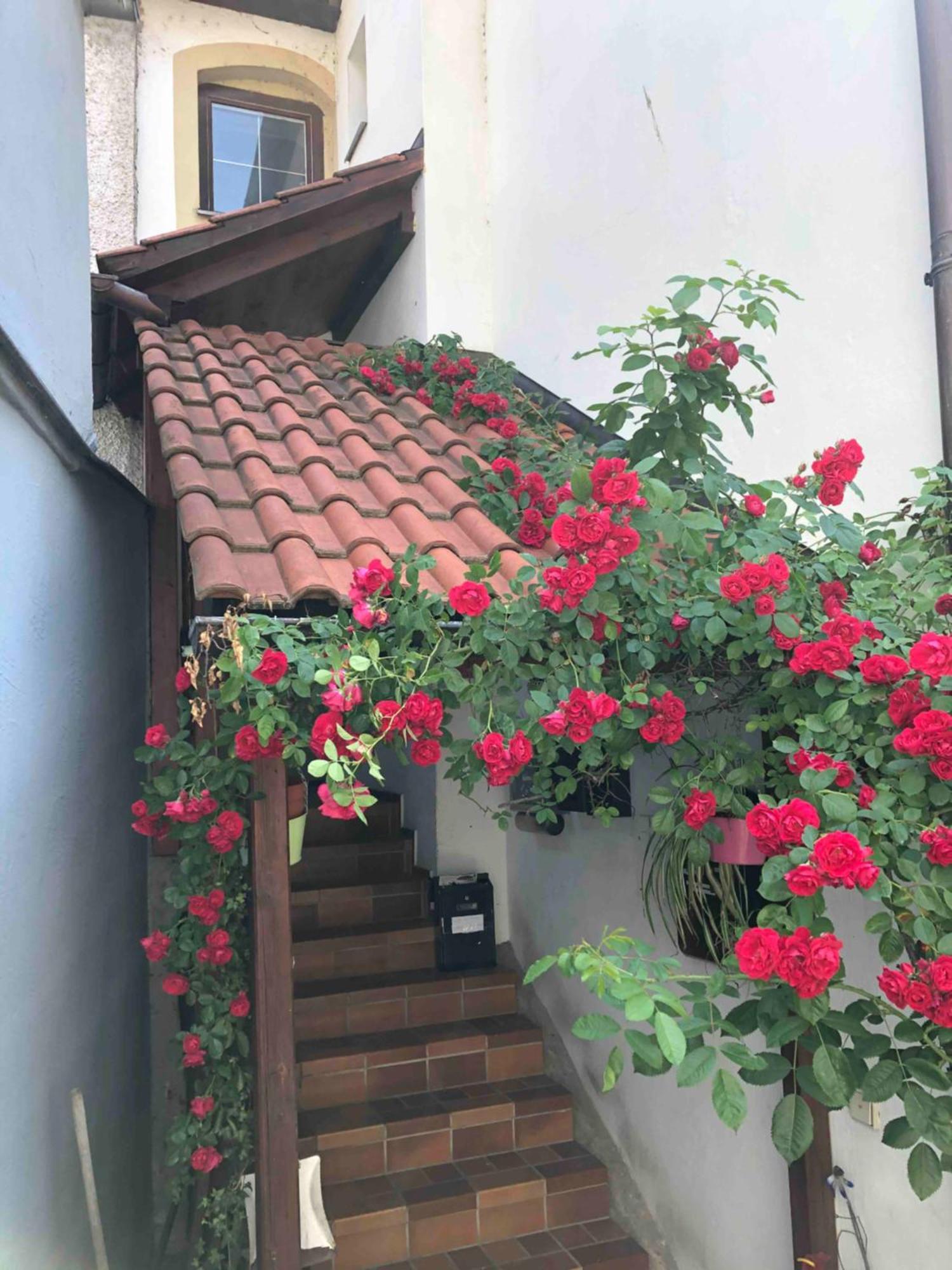 Apartamento Im Rosenhof Lindau  Exterior foto